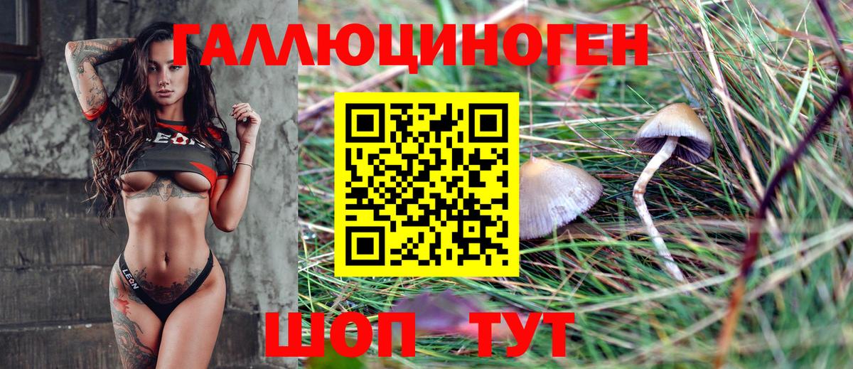 Галлюциногенные грибы GOLDEN TEACHER Вятские Поляны